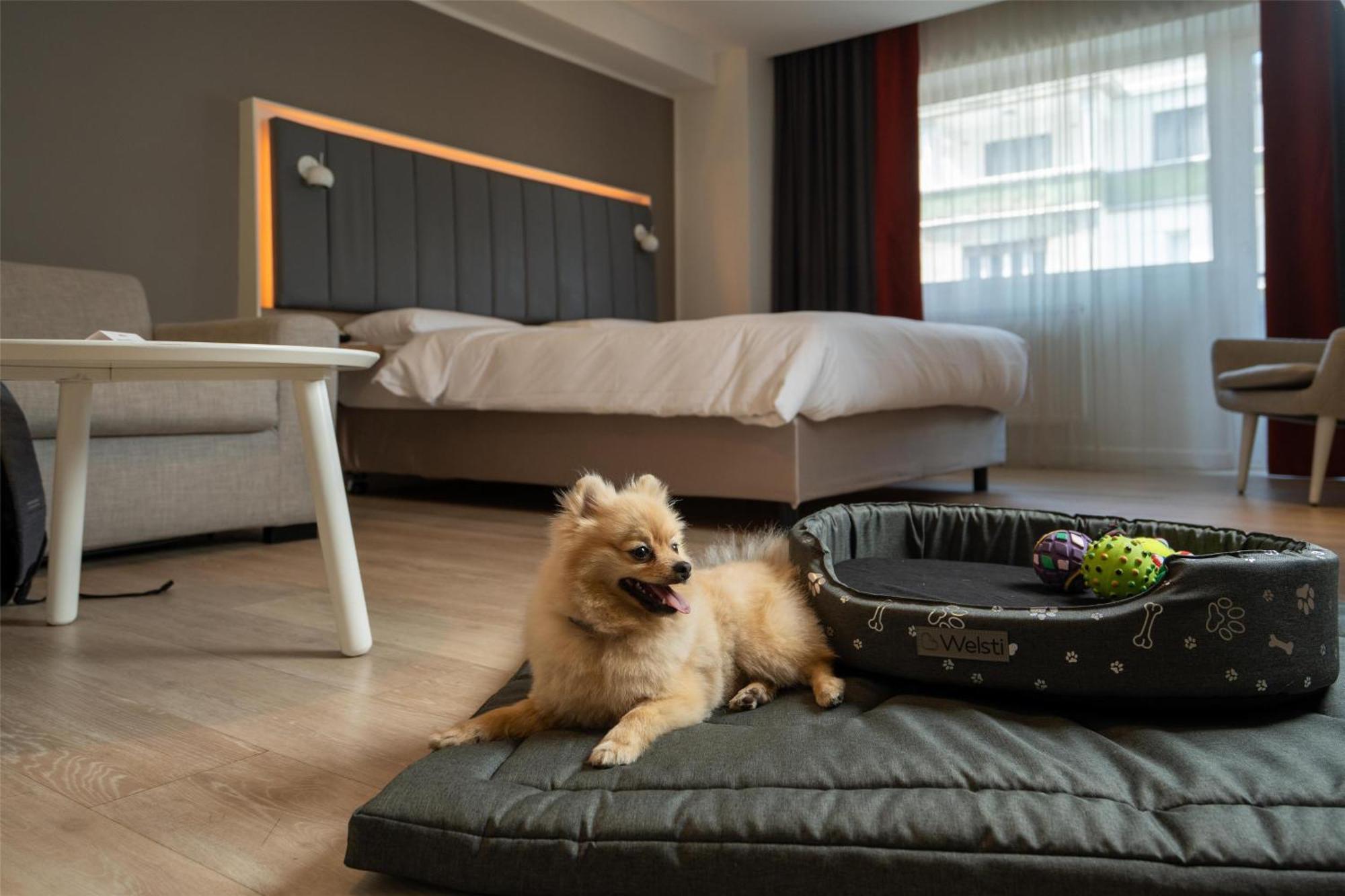 Park Inn By Radisson Bucharest Hotel & Residence Esterno foto